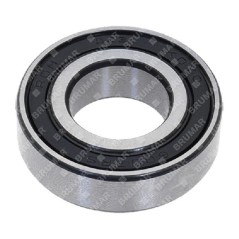 Bearing 6003 internal diameter 17 mm - 055227 | NewgardenParts.com