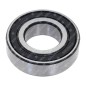 Bearing 6003 internal diameter 17 mm - 055227