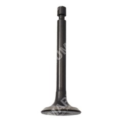 Válvula de drenaje para motobombas DUCAR - 049581 | NewgardenParts.com
