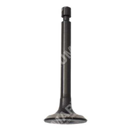 Vanne de vidange pour motopompes DUCAR - 049581 | NewgardenParts.com