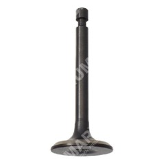 Soupape d'admission pour motopompes DUCAR - 049580 | NewgardenParts.com