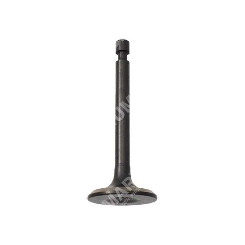 Intake valve for DUCAR motor pumps - 049580