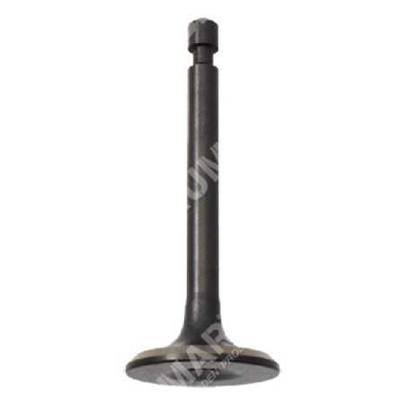 Intake valve for DUCAR motor pumps - 049580 | NewgardenParts.com