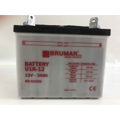 Batteria ad acido C60N30L-A per vari marchi 12v 34ah 022502 | NewgardenParts.com