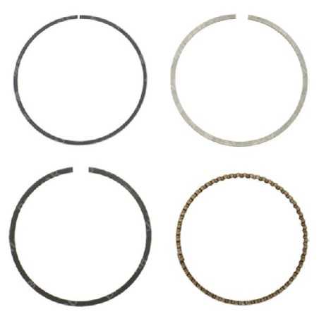 Kit de segments BLX - 058984 | NewgardenParts.com