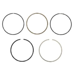 Kit de segmentos HARRY - 058616