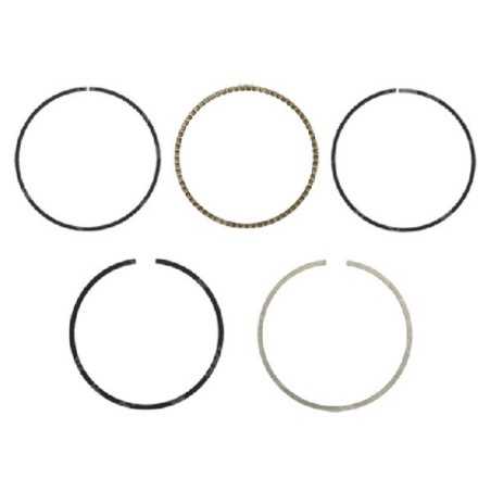 Kit de segments HARRY - 058616 | NewgardenParts.com