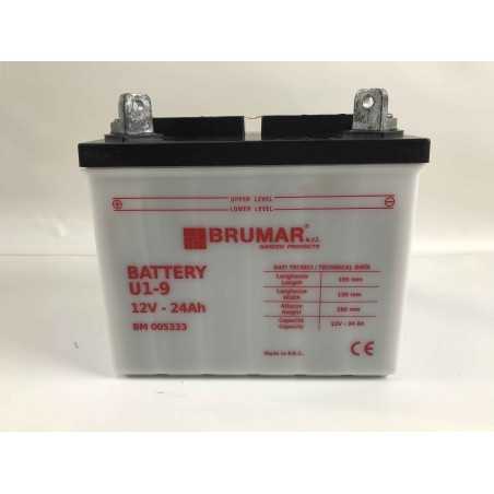 U1-9 Säure-Batterie für Rasentraktor snapper murray mtd efco toro 12v 24ah 005333 | NewgardenParts.com