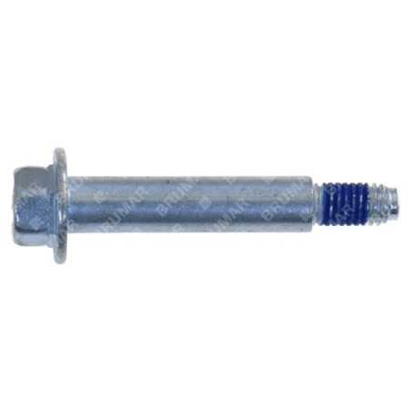 Tornillo BRIGGS & STRATTON 690255 - 056386 | NewgardenParts.com
