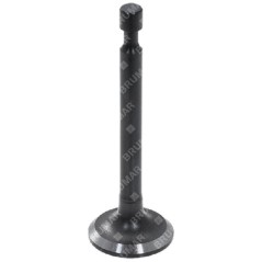 Einlassventil für MAORI Rasenmäher – 054927 | NewgardenParts.com