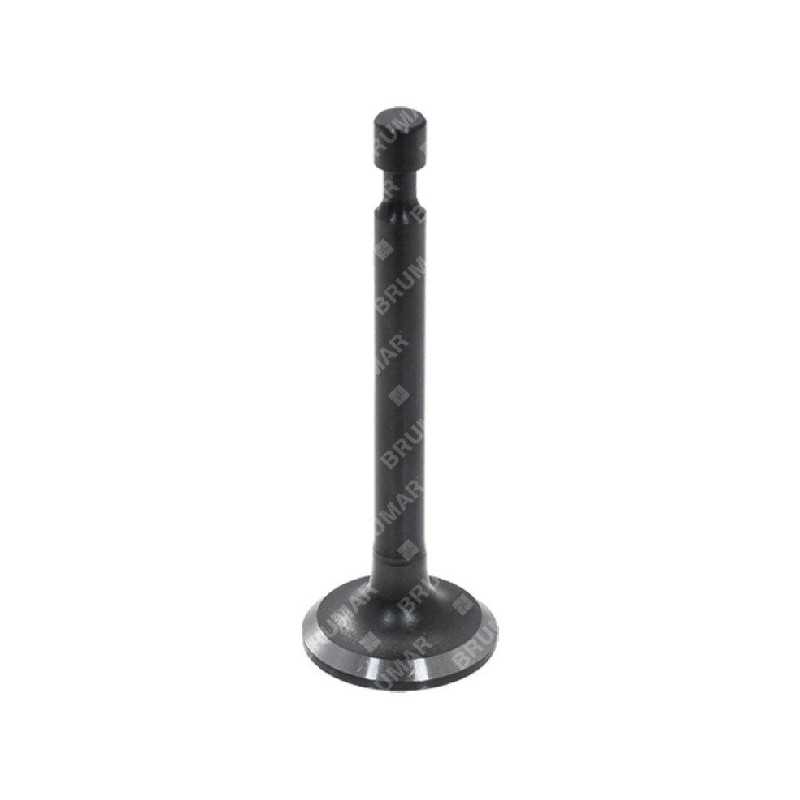 Intake valve for MAORI lawnmower - 054927