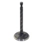 Valvola di scarico per motogeneratori DUCAR Compatibile - 038221