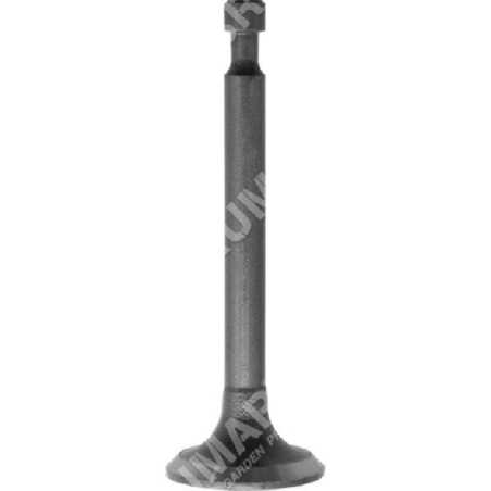 Soupape d'admission pour tondeuse à gazon DAYE - DAYEE - 027669 | NewgardenParts.com