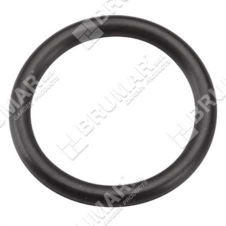 BRIGGS & STRATTON Dichtung 793628 - 020441 | NewgardenParts.com