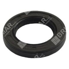 Seal Ring BRIGGS & STRATTON 399781S - 020235 | NewgardenParts.com