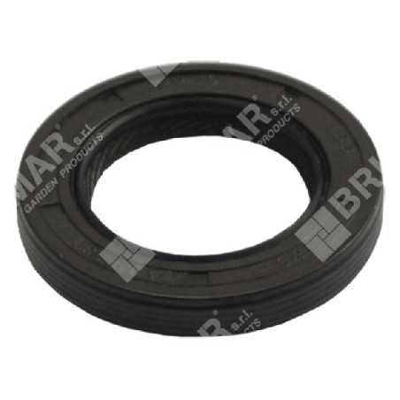 Anillo de sello BRIGGS & STRATTON 399781S - 020235 | NewgardenParts.com