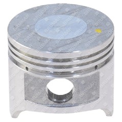 Piston complet pour tondeuse MAORI - 055060 | NewgardenParts.com