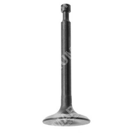 Vanne de vidange pour motopompes MAORI - 039143 | NewgardenParts.com
