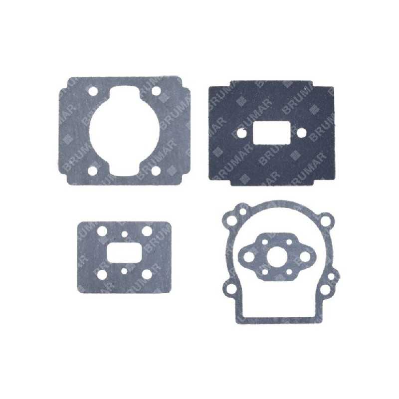 Serie guarnizioni per decespugliatori TAYA - SANDRIGARDEN Compatibile - 015330