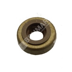 Sigillo Valvola BRIGGS & STRATTON 590410 Compatibile - 048006 | NewgardenParts.com