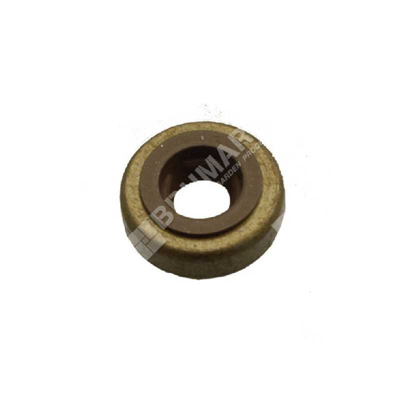 Sello de válvula BRIGGS & STRATTON 590410 - 048006