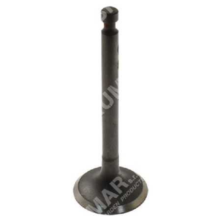 Intake valve kit for DUCAR engines - 047347 | NewgardenParts.com