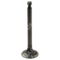 Intake valve kit for DUCAR engines - 047346