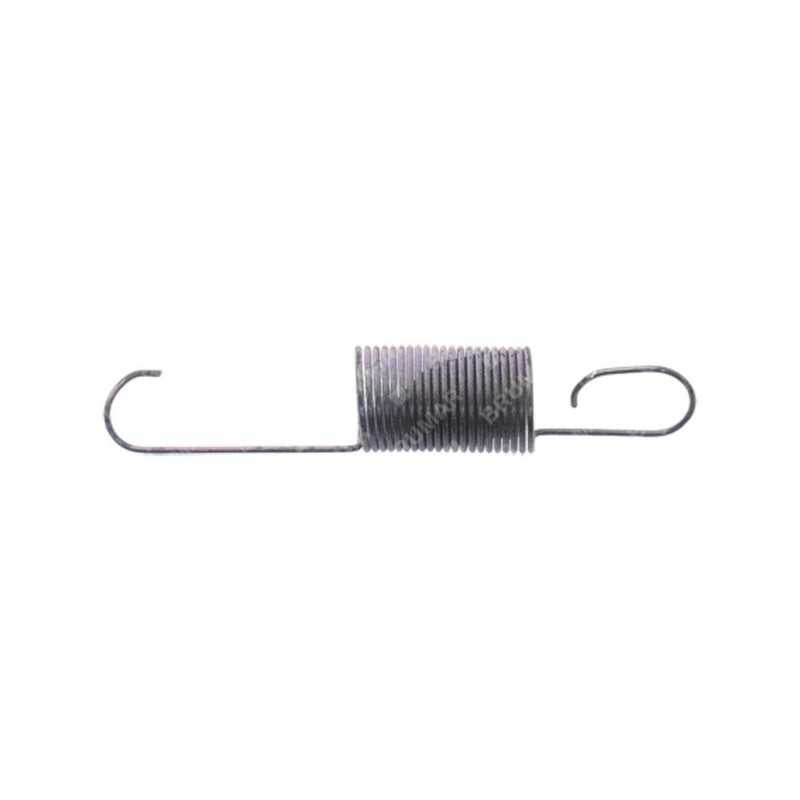 Molla regolatore BRIGGS & STRATTON 698726 Compatibile - 020267