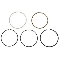 MAORI-Segmentbausatz – 054730 | NewgardenParts.com
