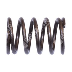 Valve spring for HONDA engines - 050621 | NewgardenParts.com