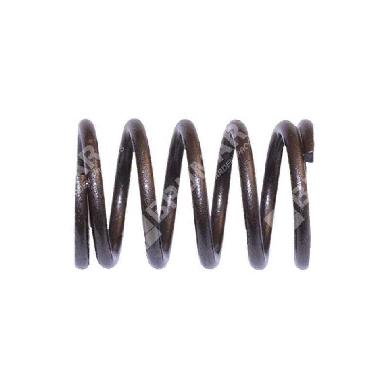 Valve spring for HONDA engines - 050621