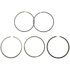 LONCIN Segment Kit Durchmesser 65 mm – 052077 | NewgardenParts.com