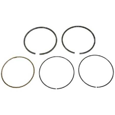 DUCAR Segment Kit 89 mm - 038214 | NewgardenParts.com
