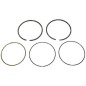 Kit Segmenti DUCAR 89 mm Compatibile - 038214