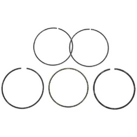 Kit segments DAYE - DAYEE 56 mm - 037901 | NewgardenParts.com