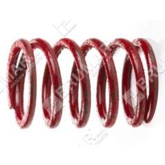Valve spring for BRIGGS & STRATTON engines - 026026 | NewgardenParts.com