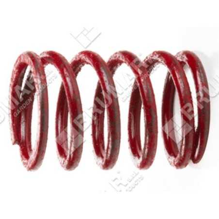 Valve spring for BRIGGS & STRATTON engines - 026026 | NewgardenParts.com