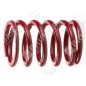 Valve spring for BRIGGS & STRATTON engines - 026026