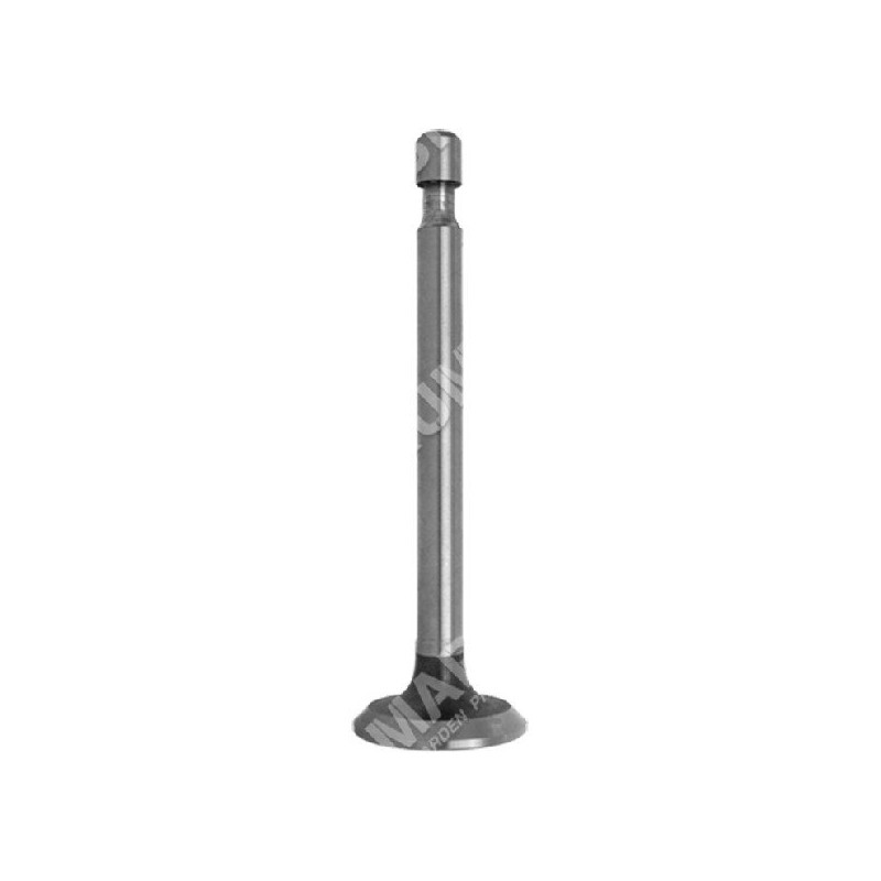 Exhaust valve for HONDA engines - 008262
