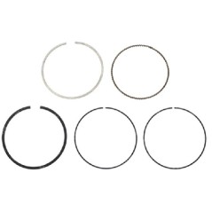 Kit de segments MAORI - 054755 | NewgardenParts.com