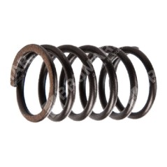 Valve spring for BRIGGS & STRATTON engines - 026025 | NewgardenParts.com