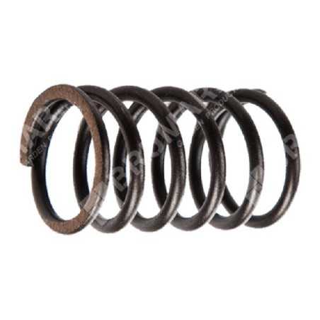 Valve spring for BRIGGS & STRATTON engines - 026025 | NewgardenParts.com