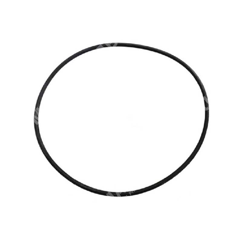 Anello guarnizione per motori MITSUBISHI MZW890255043 Compatibile - 023219