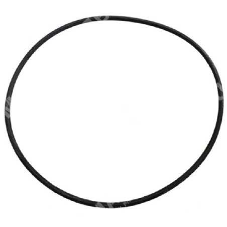 Gasket ring for MITSUBISHI engines MZW890255043 - 023219 | NewgardenParts.com