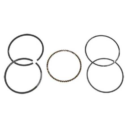 Kit Segmenti quadro LONCIN diametro 61 mm Compatibile - 048990 | NewgardenParts.com