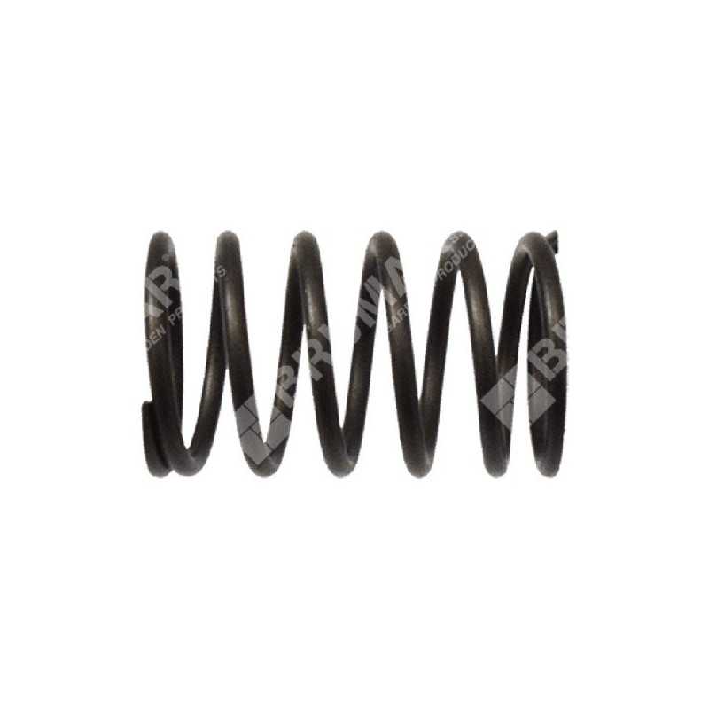 Valve spring for KOHLER engines - 049989