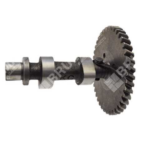 Crankshaft for DUCAR motor pumps 222003 - 049588 | NewgardenParts.com
