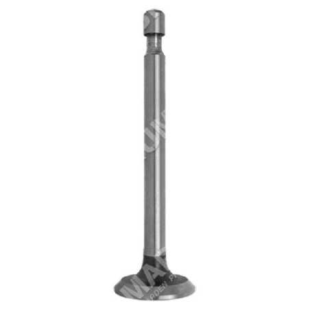 Válvula de escape para motores HONDA - 011852 | NewgardenParts.com