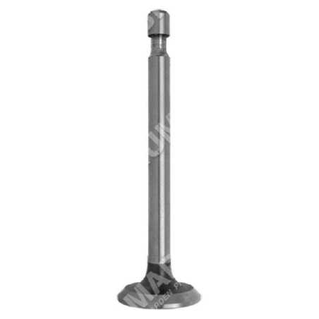 Válvula de escape para motores HONDA - 011848 | NewgardenParts.com