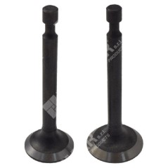 Einlass- und Auslassventilsatz für LONCIN-Motoren – 049362 | NewgardenParts.com
